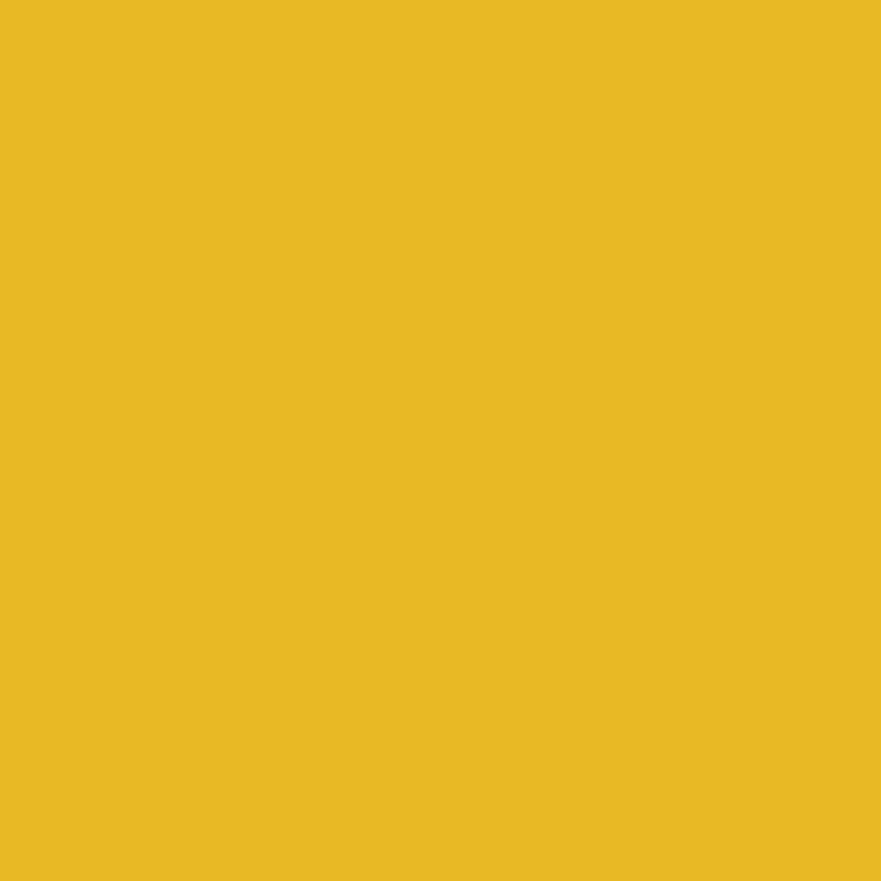 Osmo Holzpaste